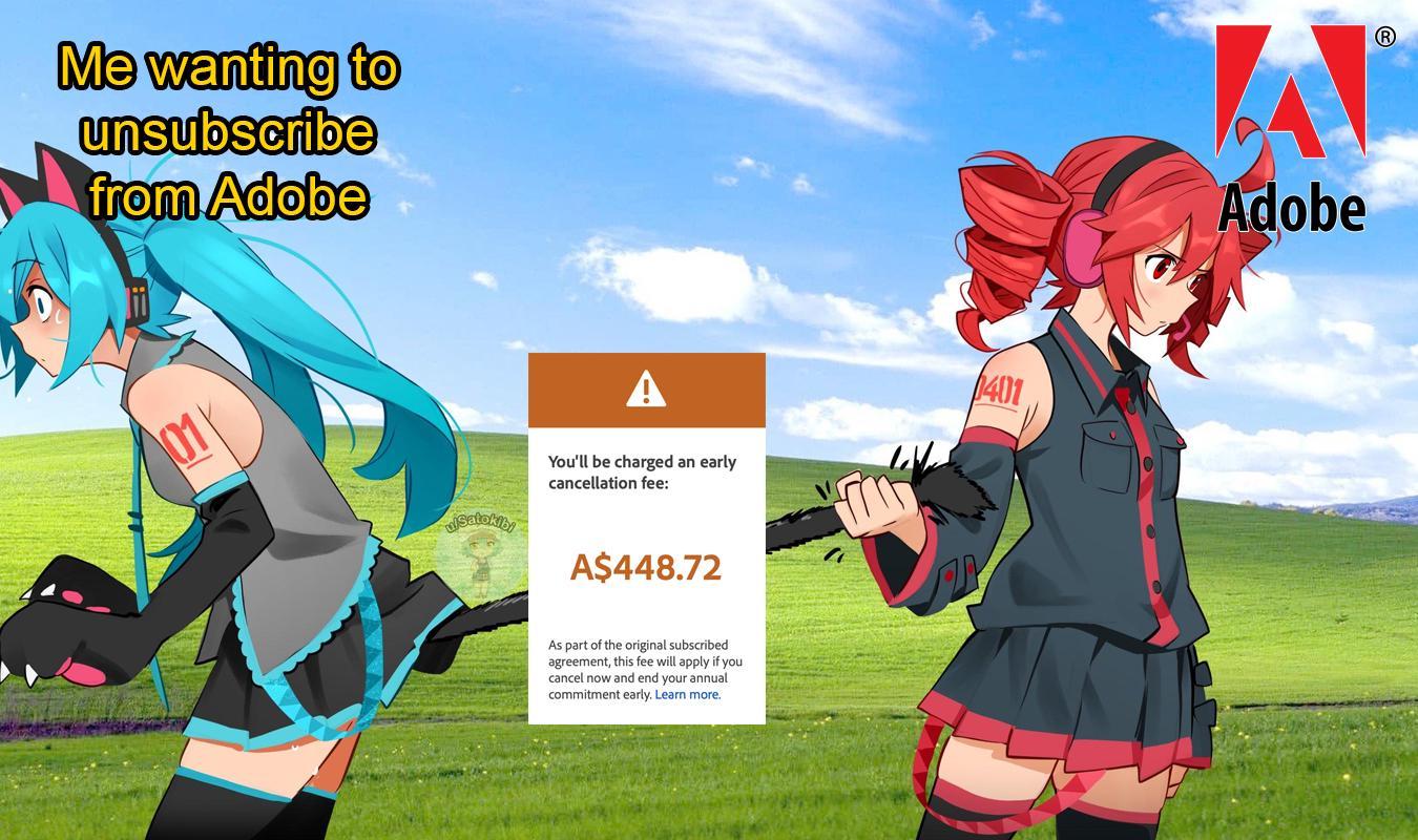 4mu9fz7jg39f1 (1).jpeg